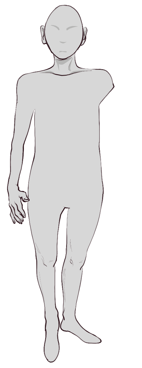 Body C